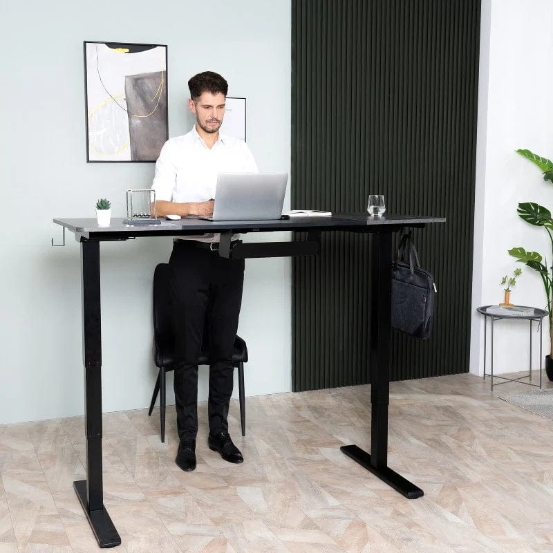 Flexispot Computer Desk EP4 Seiffen Laminated 4-Spliced Standing Desk