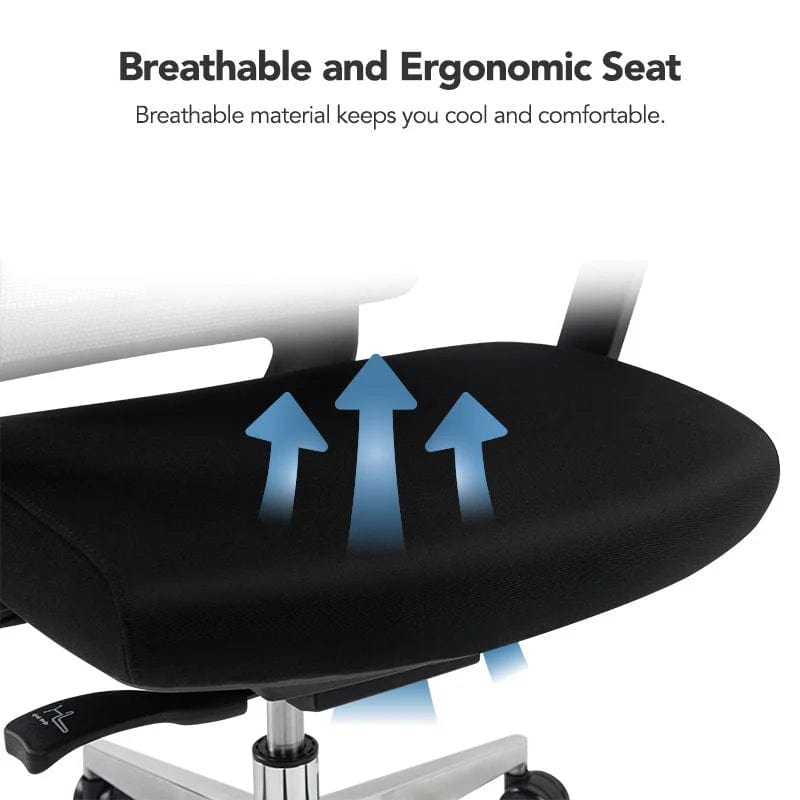 Flexispot Office Chairs Ergonomic Office Chair BS2