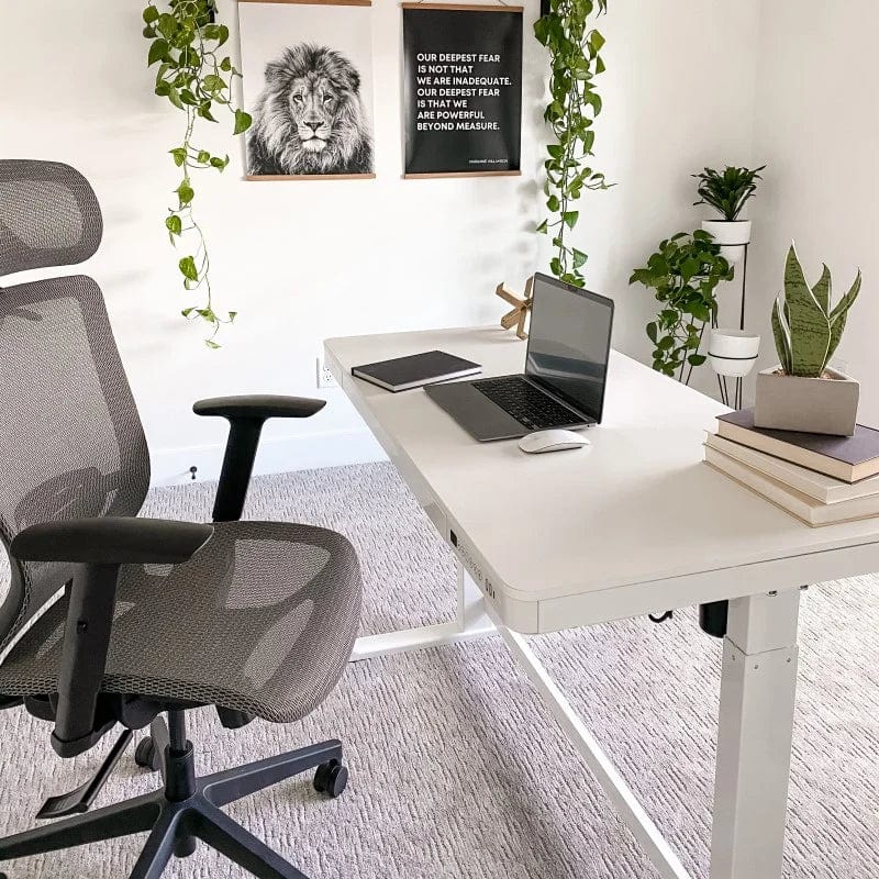 StandUp Desk Depot Comhar Standing Desk with Drawers