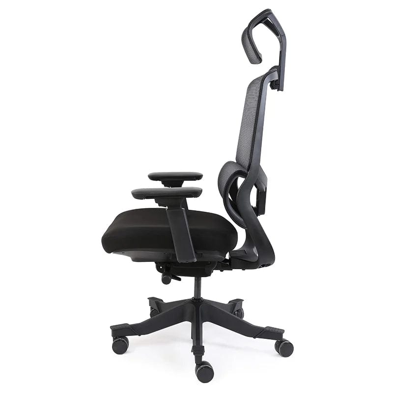 Flexispot Fitness Chair OC10 Soutien Ergonomic Office Chair