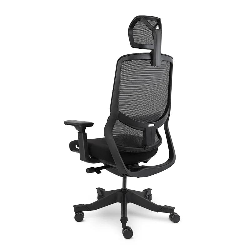Flexispot Fitness Chair OC10 Soutien Ergonomic Office Chair