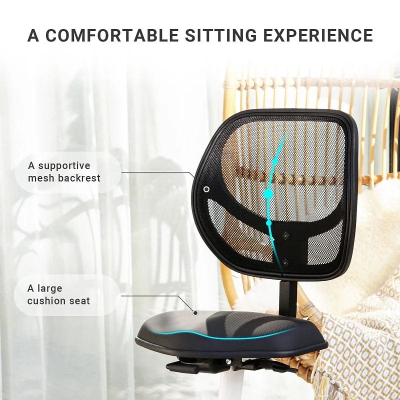Flexispot Fitness Chair Sit2Go F1 F1 Sit2Go 2-in-1 Fitness Chair