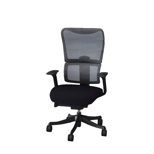 Flexispot Office Chairs Black Ergonomic Office Chair BS14
