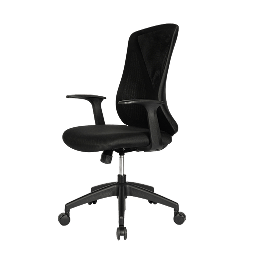 Flexispot Office Chairs Black Light Mesh Office Chair OC2