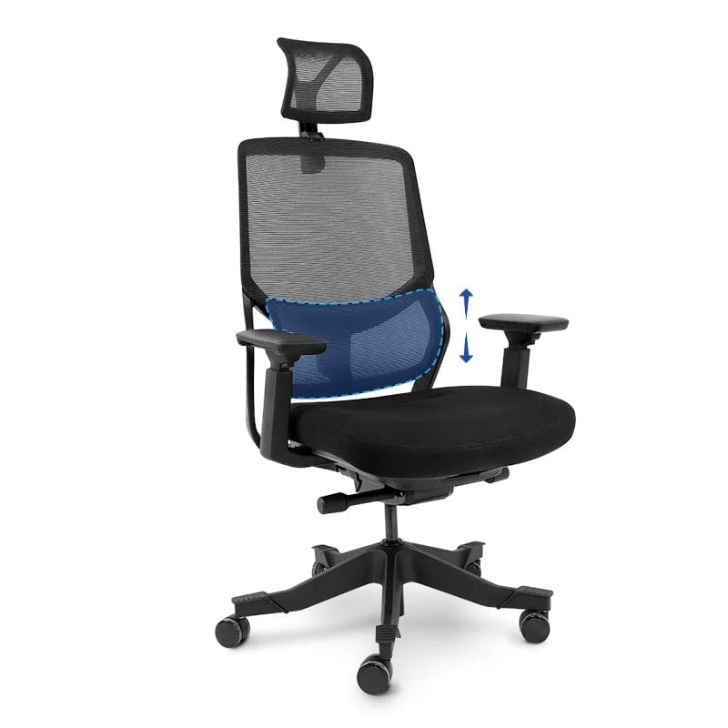Flexispot Office Chairs Black OC10 Soutien Ergonomic Office Chair