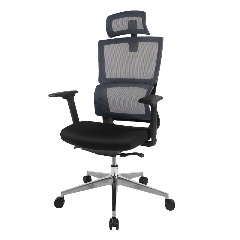 Flexispot Office Chairs Dark Grey Ergonomic Office Chair BS2