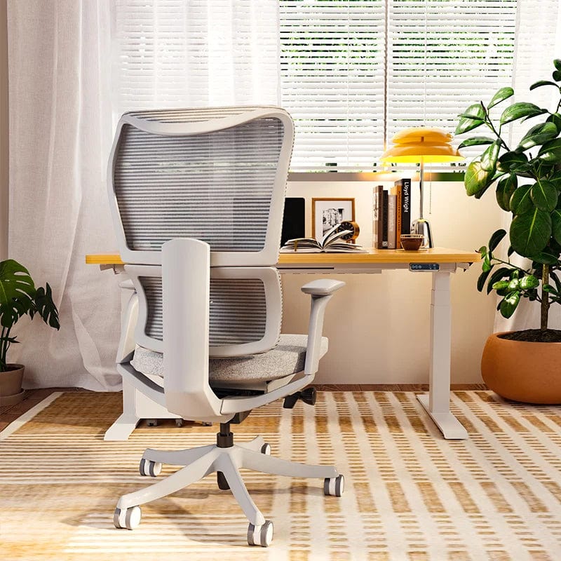 Flexispot Office Chairs Ergonomic Office Chair BS14