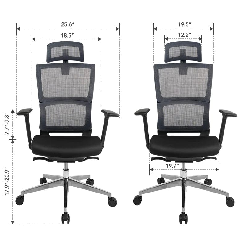 Flexispot Office Chairs Ergonomic Office Chair BS2