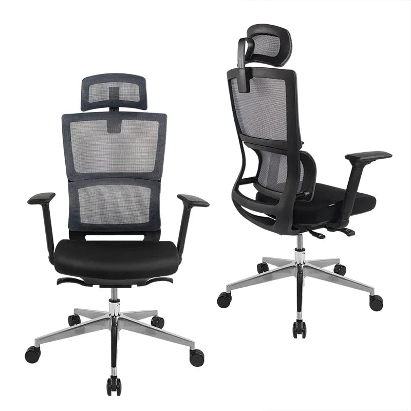 Flexispot Office Chairs Ergonomic Office Chair BS2