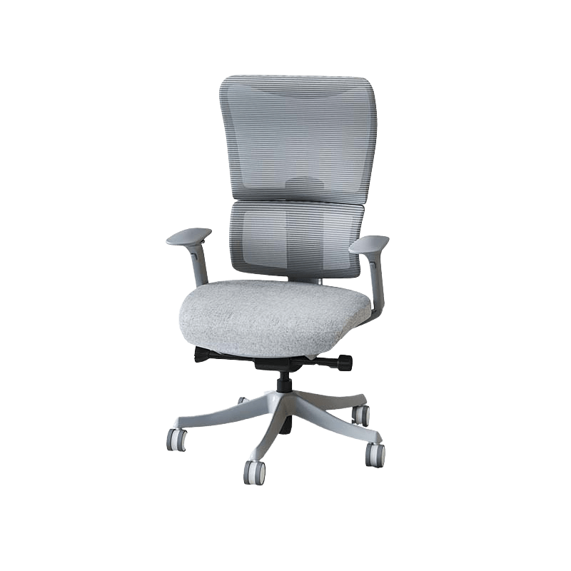 Flexispot Office Chairs Grey Ergonomic Office Chair BS14