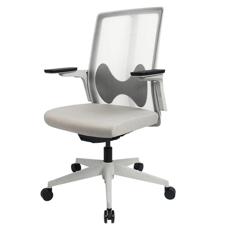 Flexispot Office Chairs Grey Ergonomic Office Chair BS7
