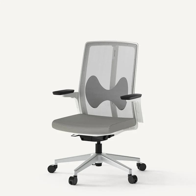 Flexispot Office Chairs Grey Ergonomic Office Chair BS7