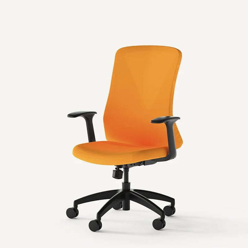 Flexispot Office Chairs Light Mesh Office Chair OC2