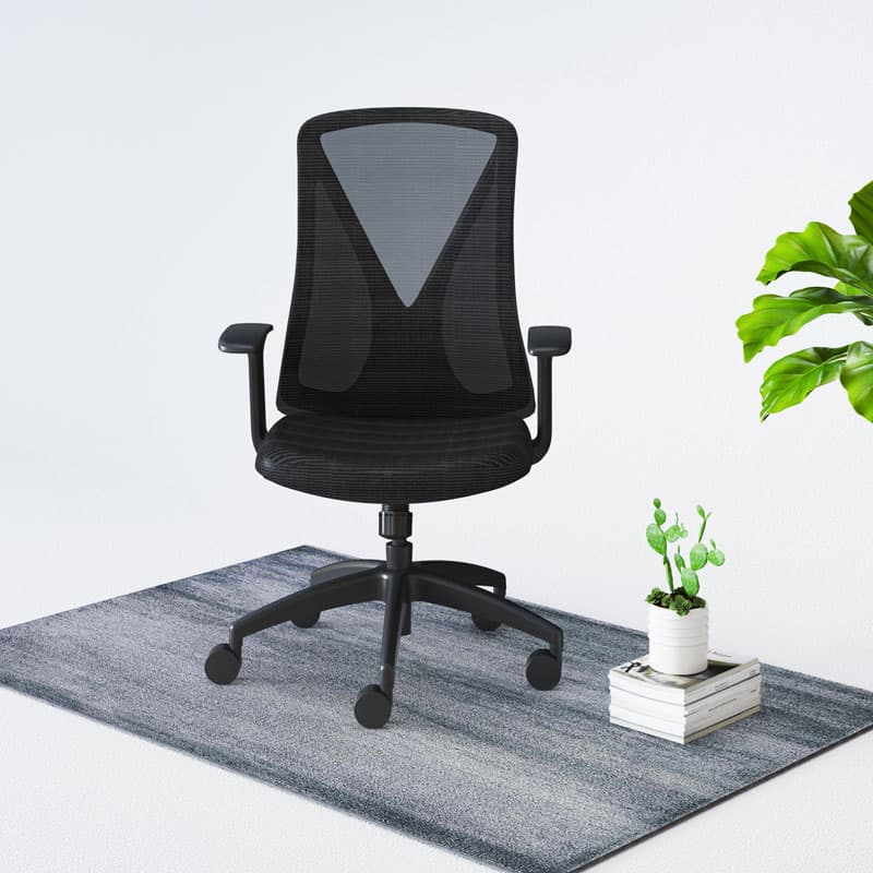 Flexispot Office Chairs Light Mesh Office Chair OC2