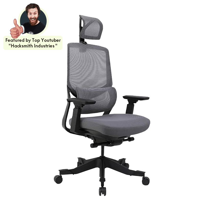 Flexispot Office Chairs OC10 Soutien Ergonomic Office Chair