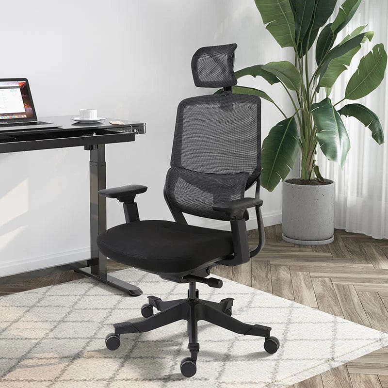 Flexispot Office Chairs OC10 Soutien Ergonomic Office Chair