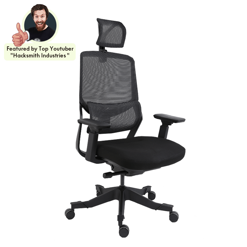 Flexispot Office Chairs OC10 Soutien Ergonomic Office Chair