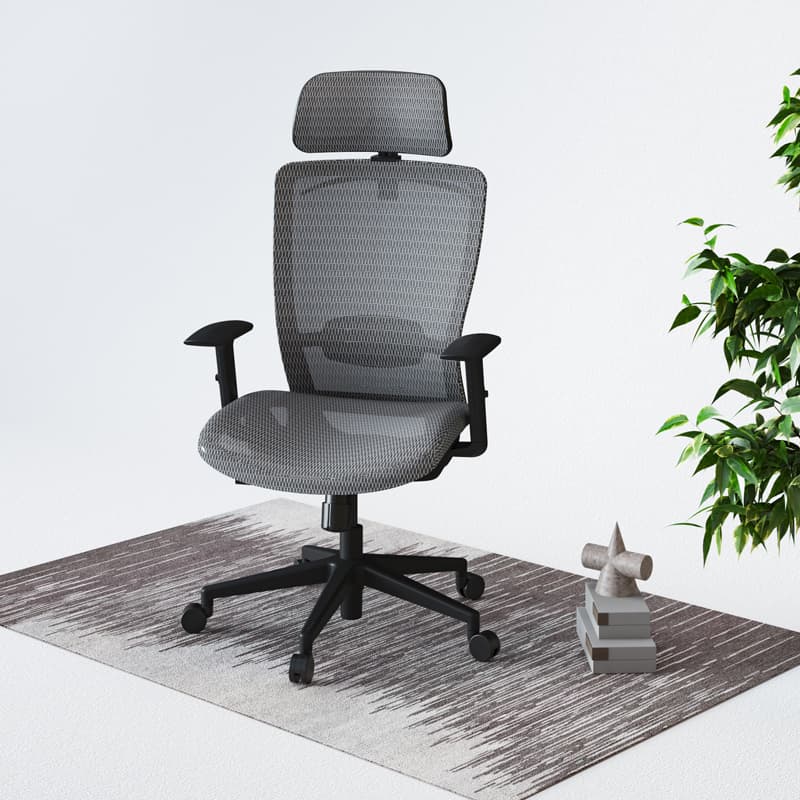 Flexispot Office Chairs OC3 Ergonomic Office Chair OC3