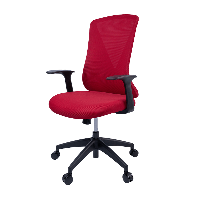 Flexispot Office Chairs Red Light Mesh Office Chair OC2