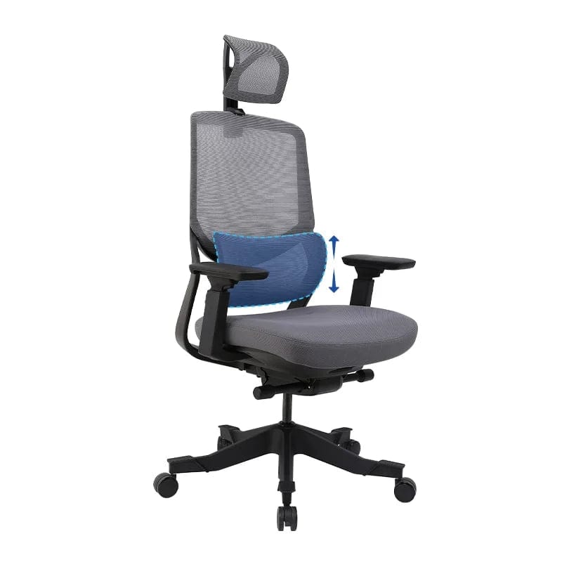 Flexispot Office Chairs White OC10 Soutien Ergonomic Office Chair